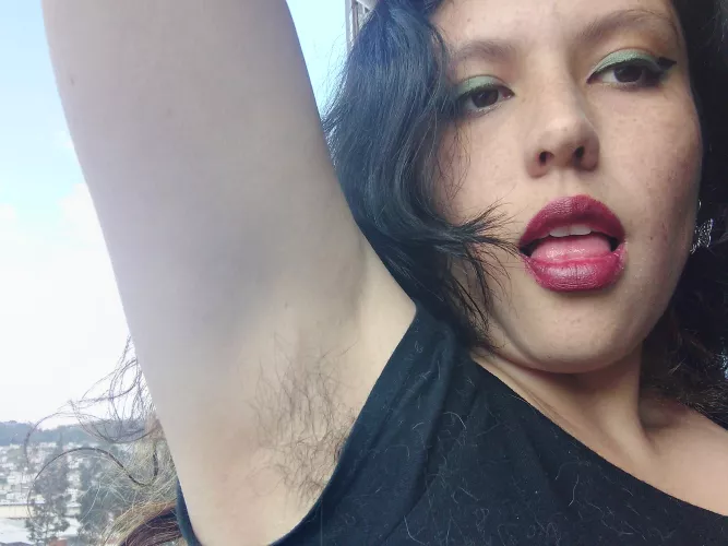 Latin and hairy I am