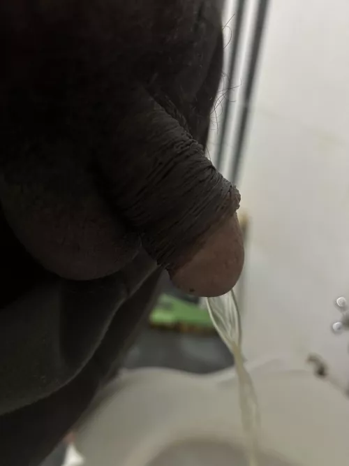 Peeing at home toilet