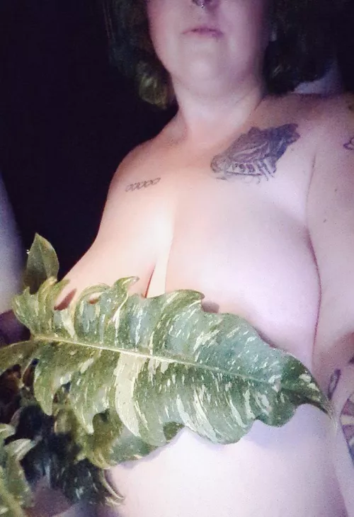 You can call me Miss Ivy 