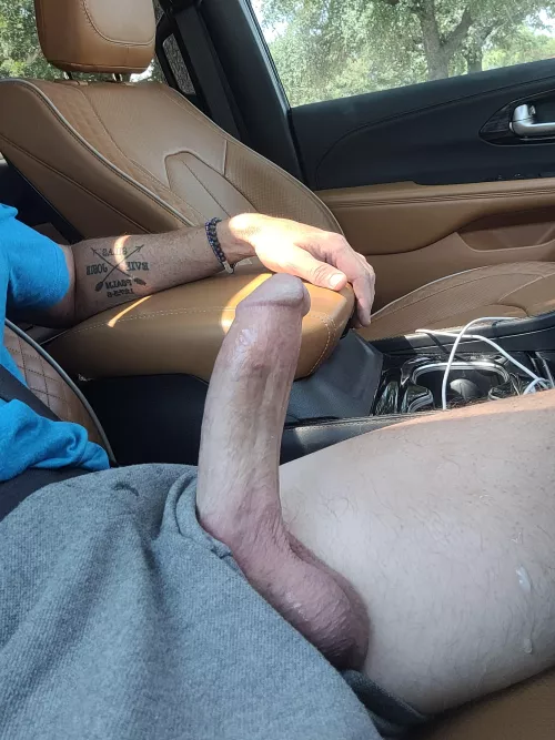 [48] Who wants to go for a drive?