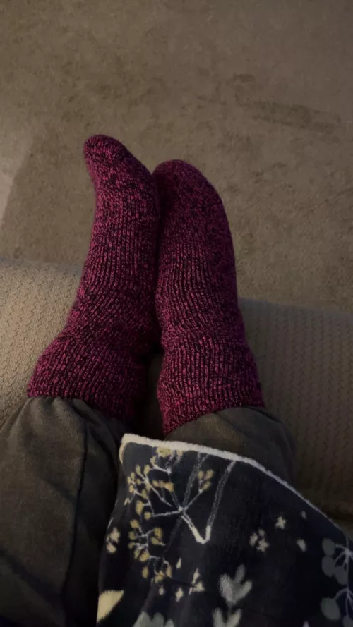 Comfy, cozy, crazy, and cute. [F]acing the day