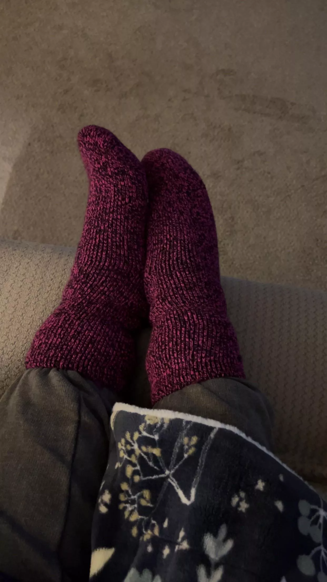 Comfy, cozy, crazy, and cute. [F]acing the day