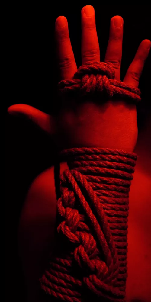Learning how to take shibari photographs