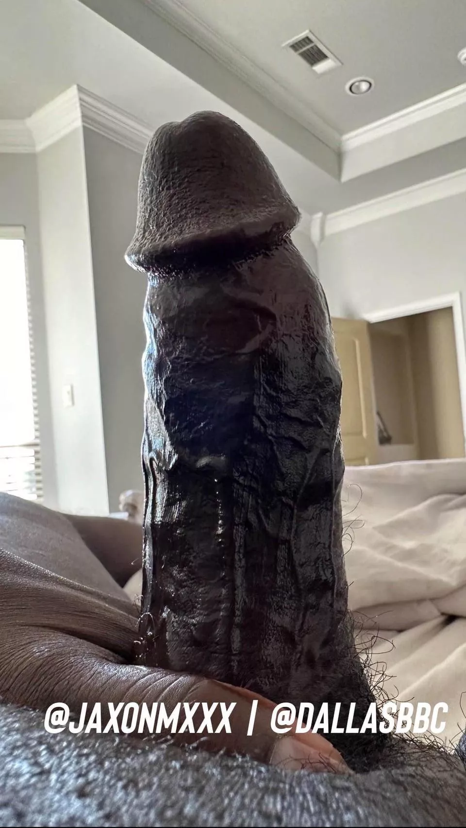 Morning Wood Fun