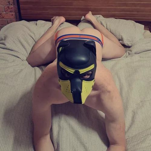 Brand new to this! I've always loved the masks so got one myself 