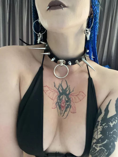 Does this collar suit your obedient pet?