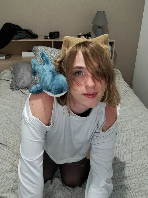 Hello little shork frend :D ♥️🐳