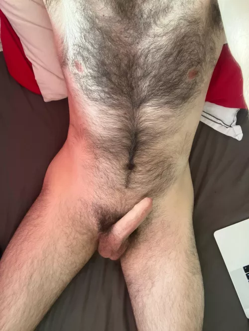 If hung and hairy is your thing…