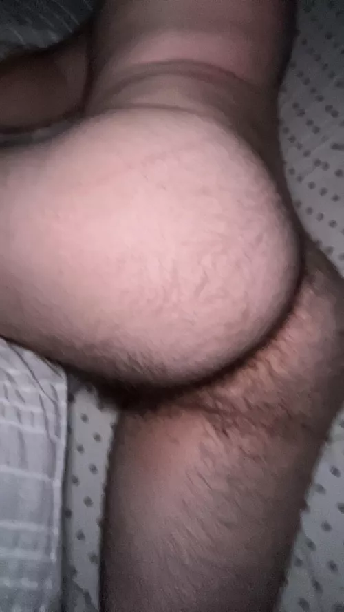 Is it hairy enough?? (18)