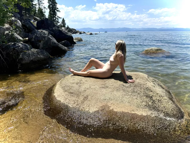 No better place to sunbathe 🌞