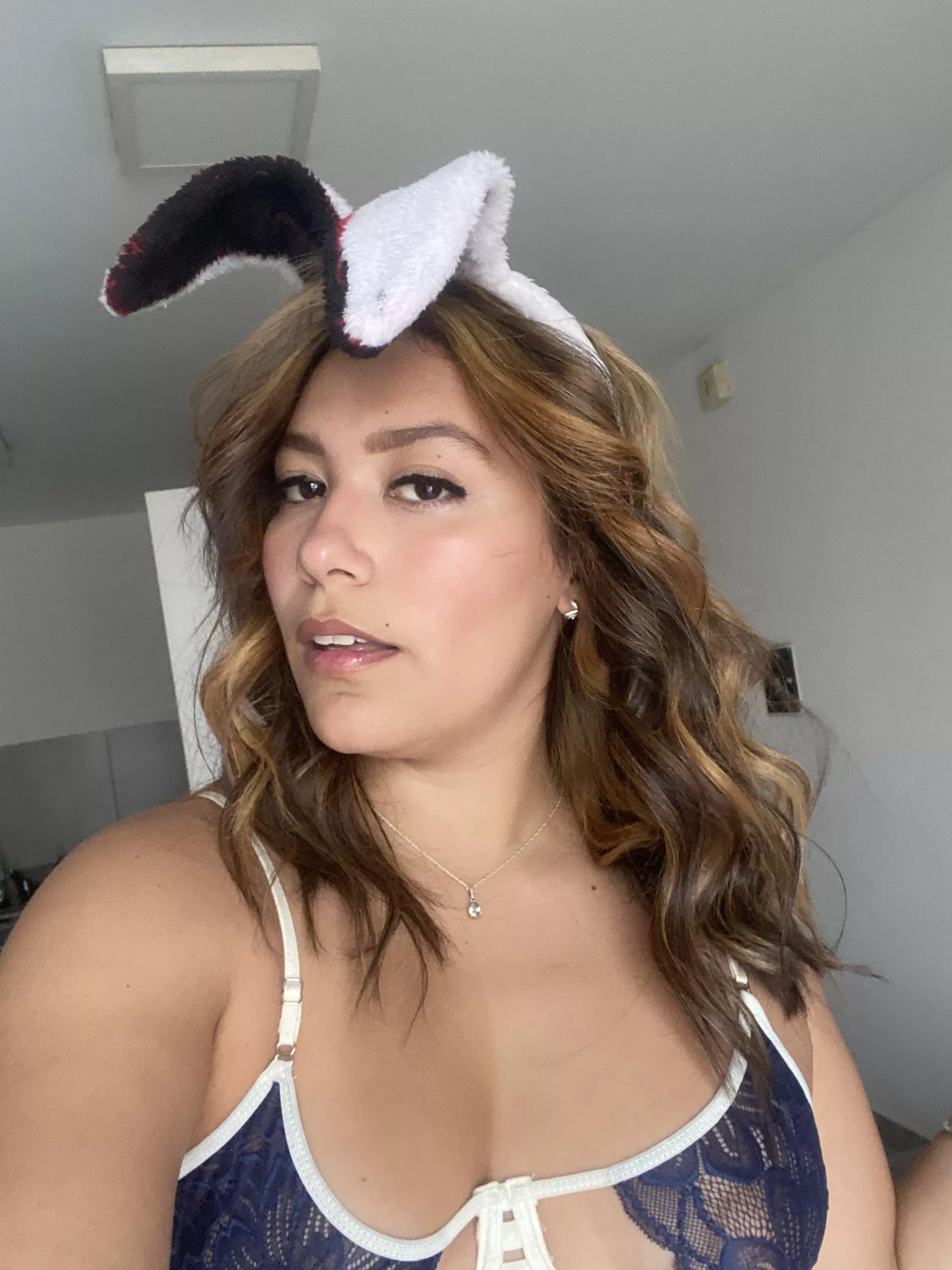 please let me be your bunny