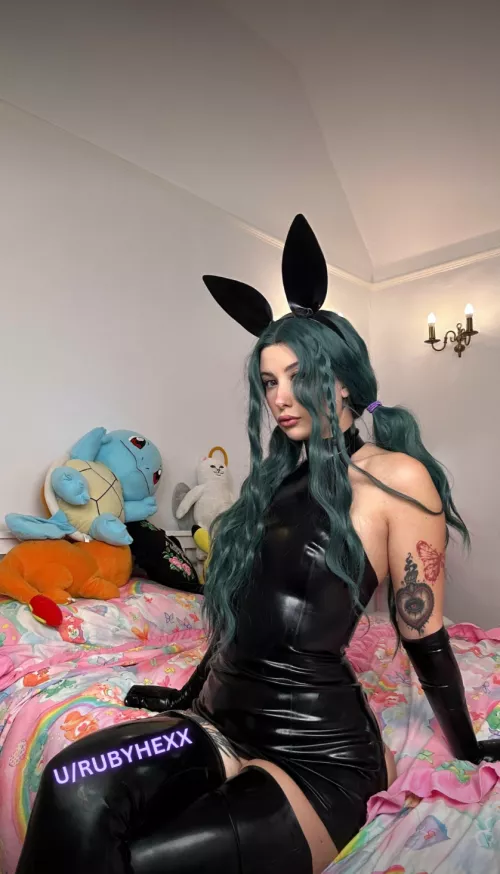 This black bunny here will be willing to be your pet!