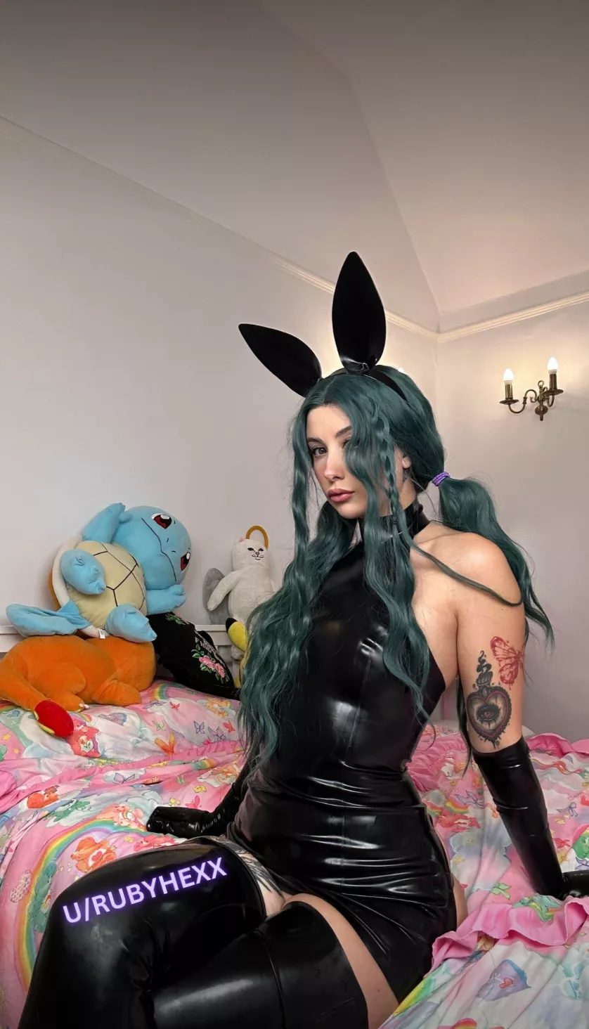 This black bunny here will be willing to be your pet!