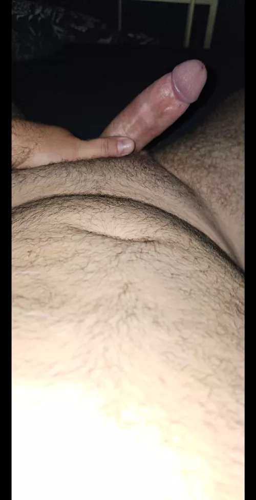 Woke up with this under the sheets 