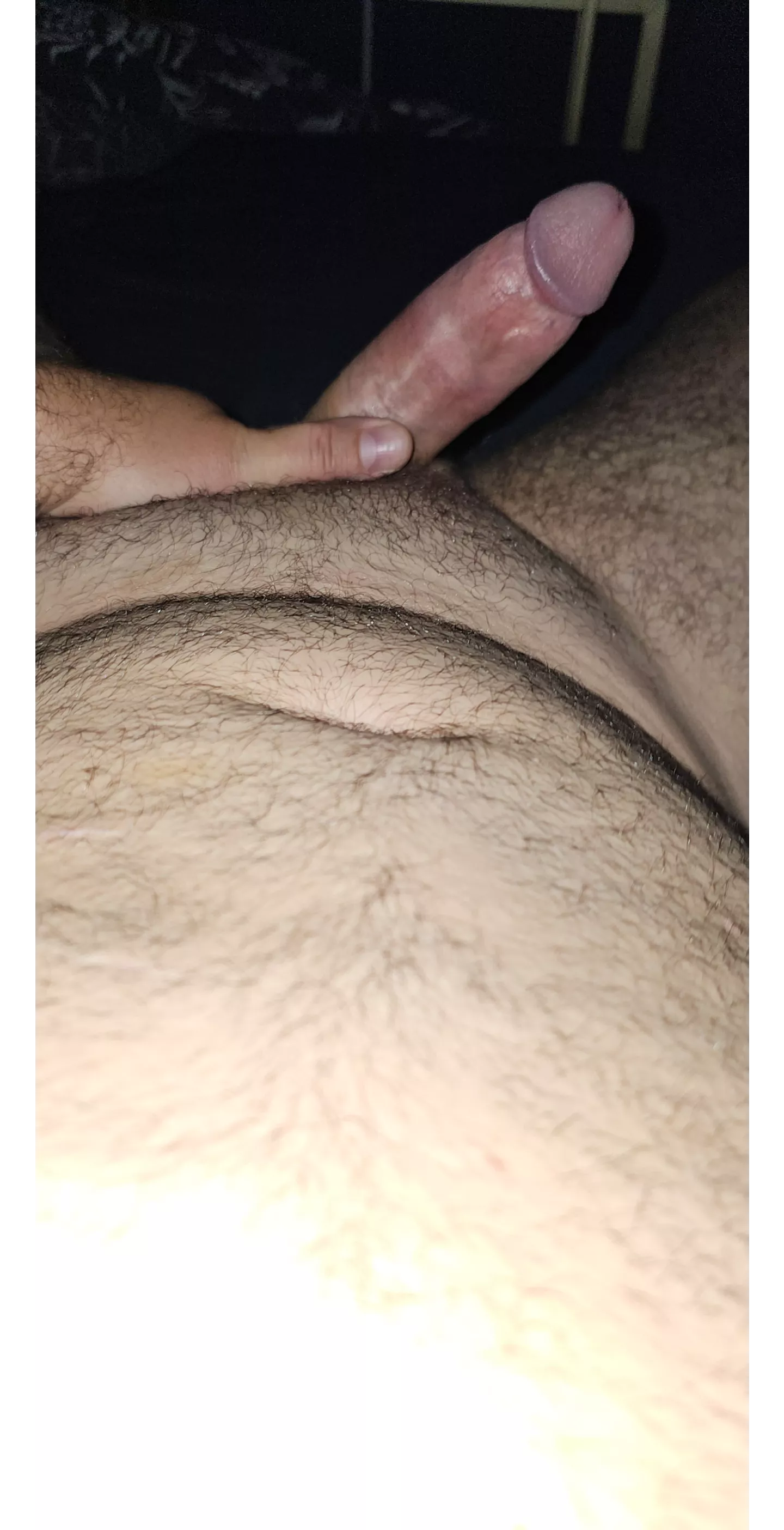 Woke up with this under the sheets 