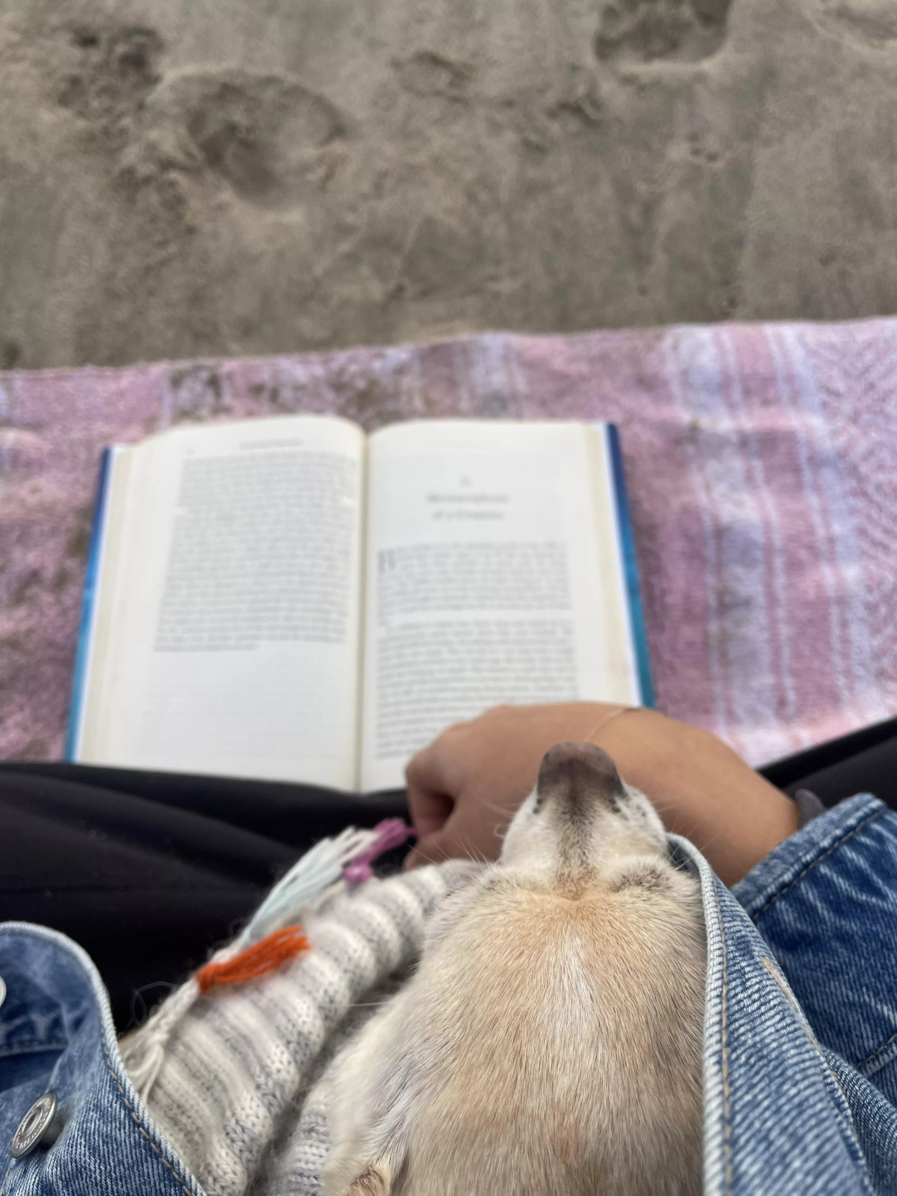 Peaceful moment at the beach today, was a little chilly but didn't stop us!