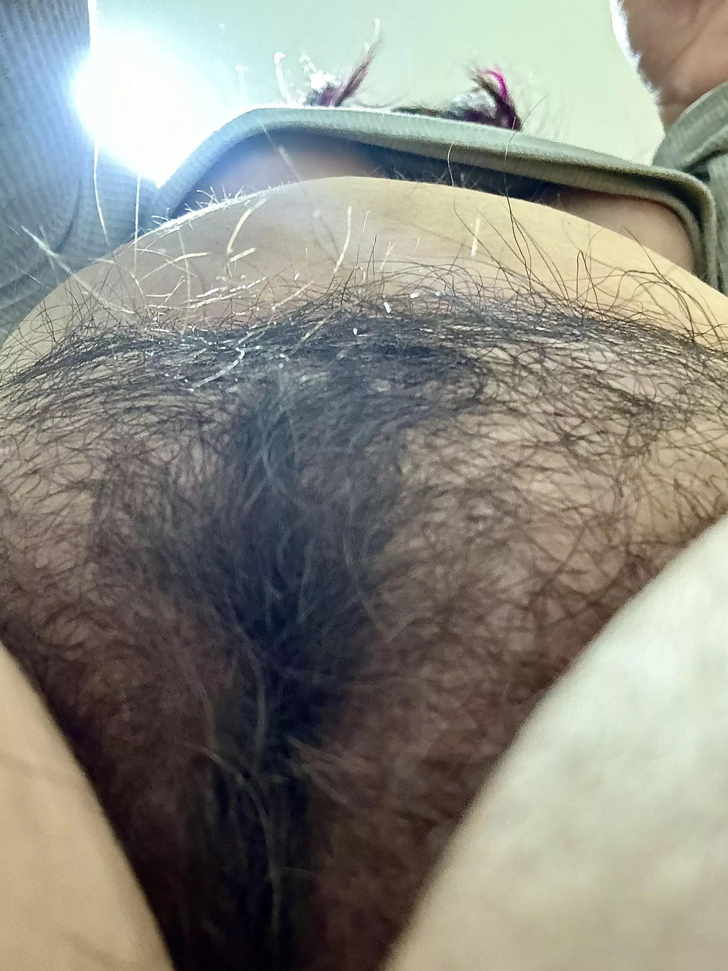 this bush is getting wild 