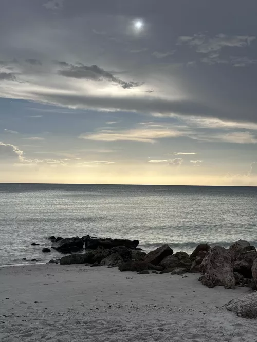 went on a beach walk  yesterday ❤️