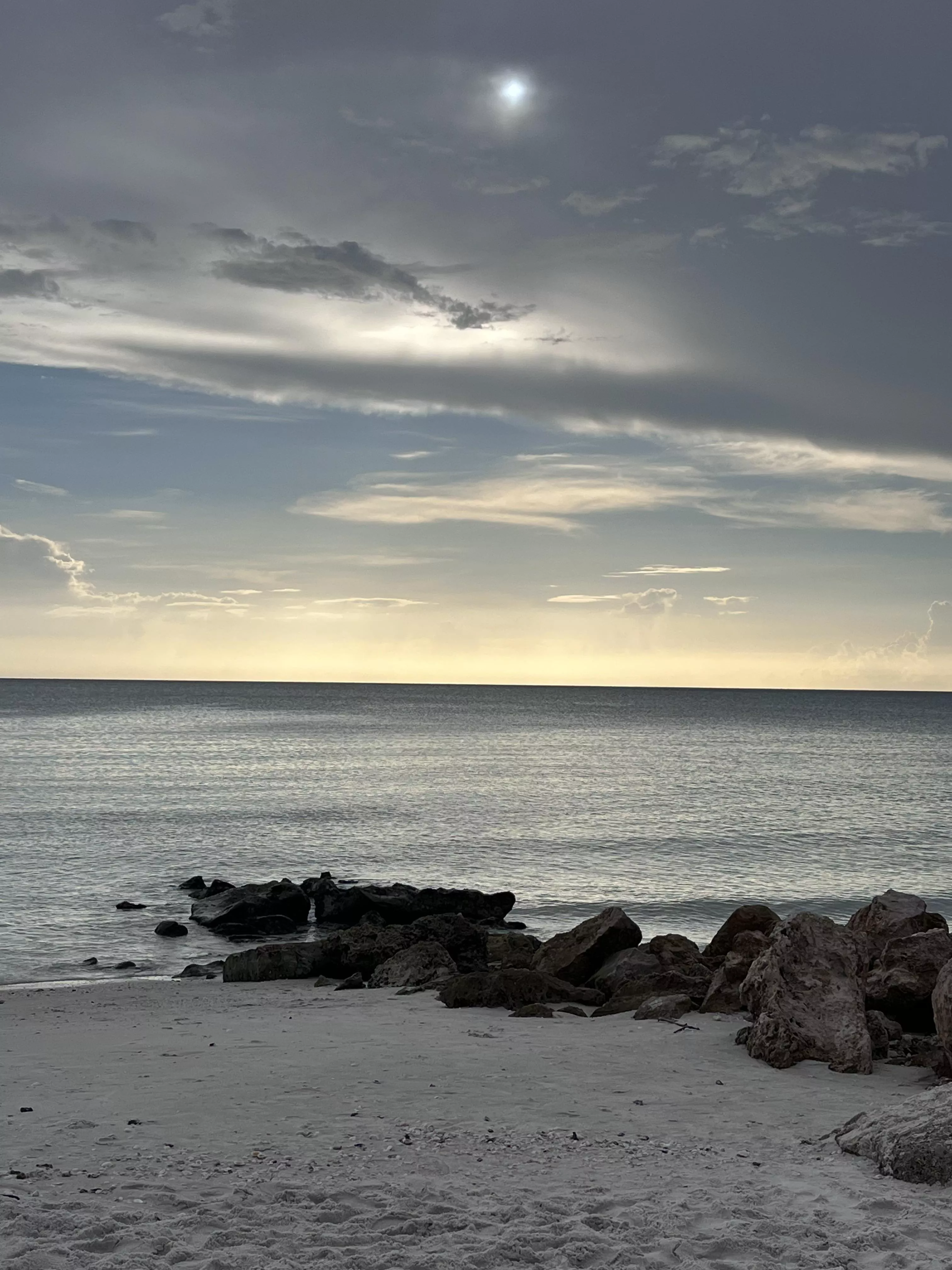 went on a beach walk  yesterday ❤️
