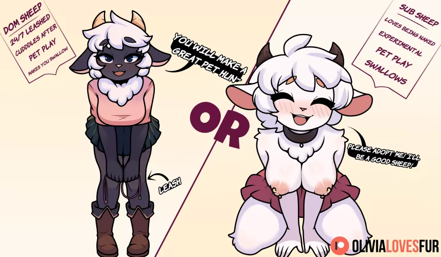 Which sheep do you choose and why~ [FF] (OliviaLovesFur)