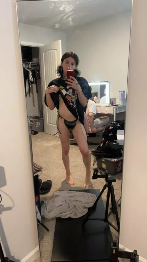 Would you pick me up if I was a stray?