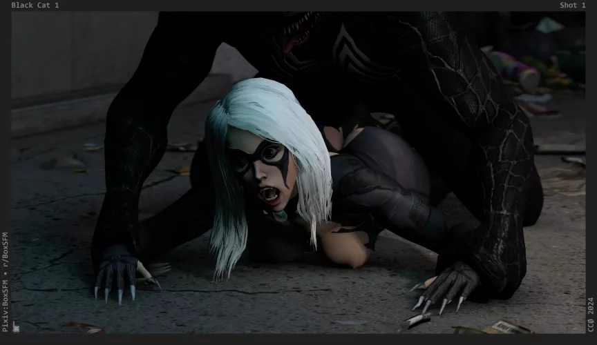 Black Cat (BoxSFM)