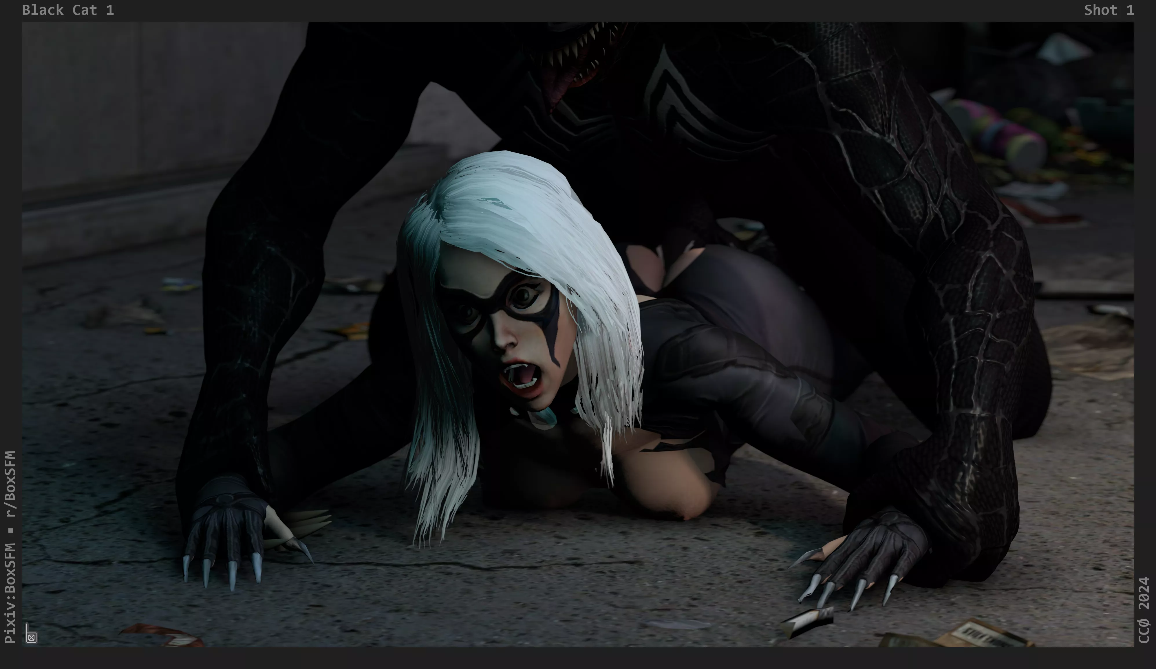 Black Cat (BoxSFM)