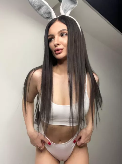 the bunny in your dreams