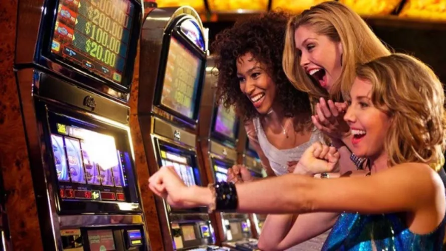 After months of construction and a private, invite-only grand opening, PIGWORLD Resort & Casino is now open to the public. Book your trip today!