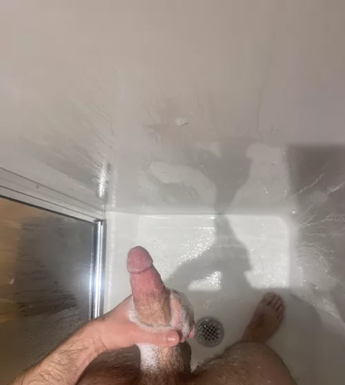 Any curious bros in Japan?