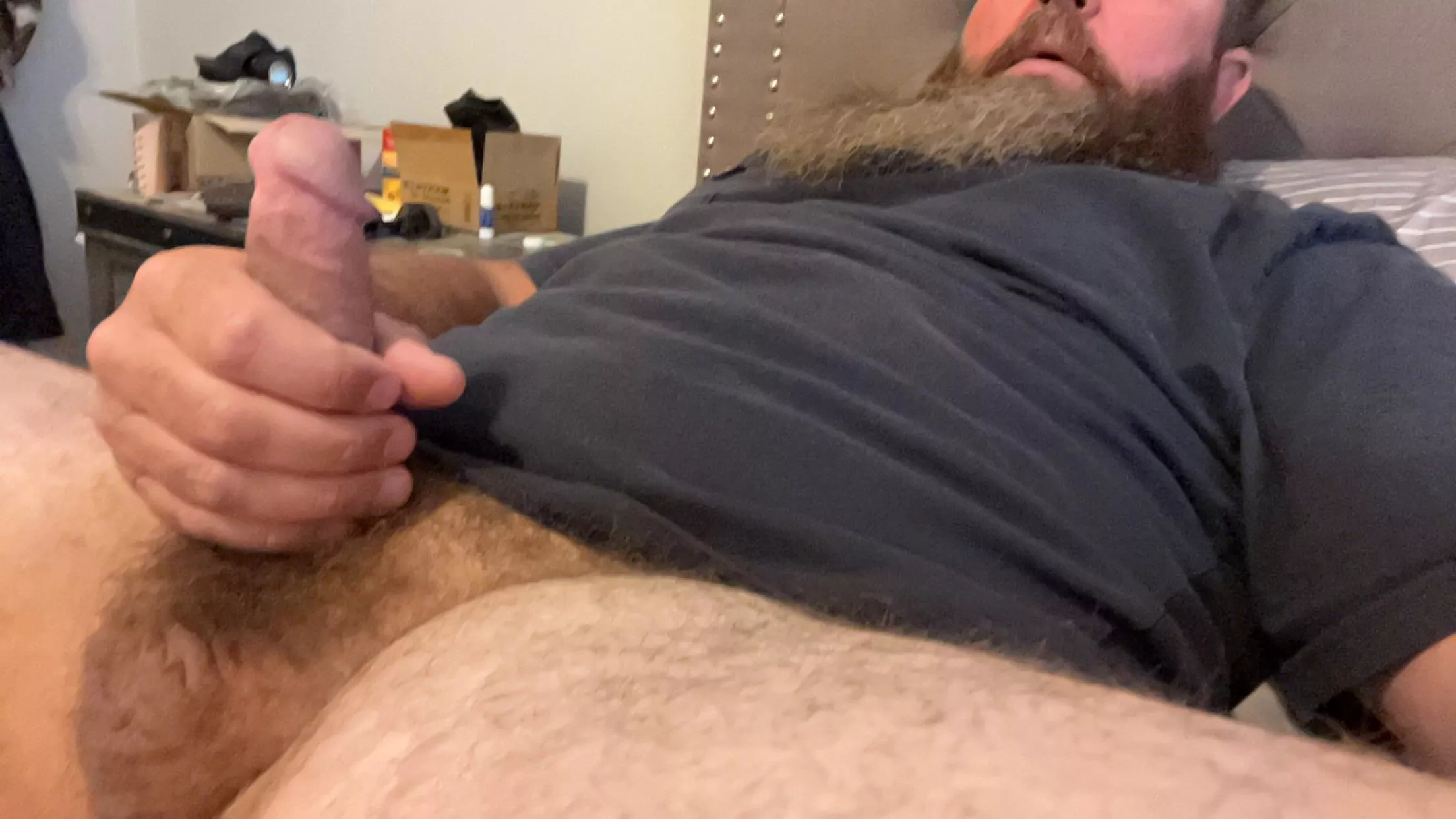 Can you help me tame this morning wood? 
