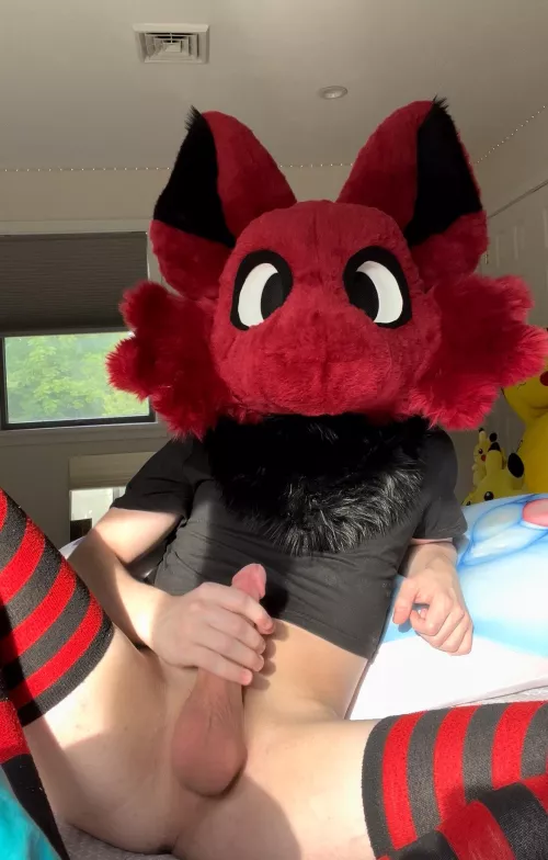 don’t mind lucario on the right there X3