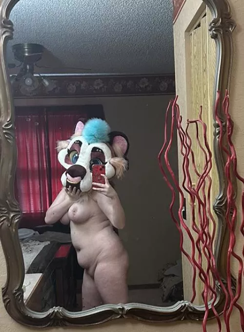 Have a tiny kitty pic for your wait!~