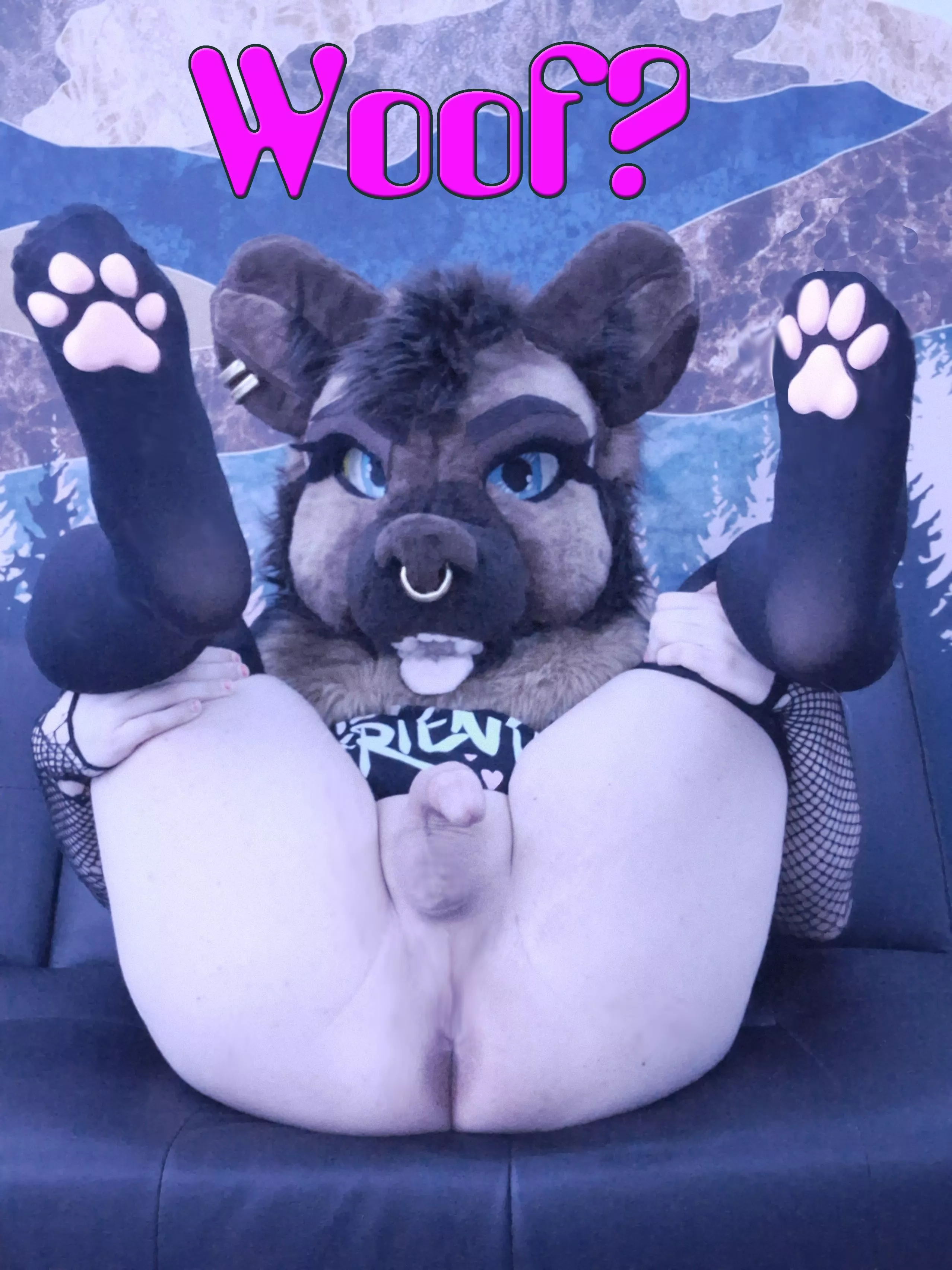 hey hey hey hey guess what