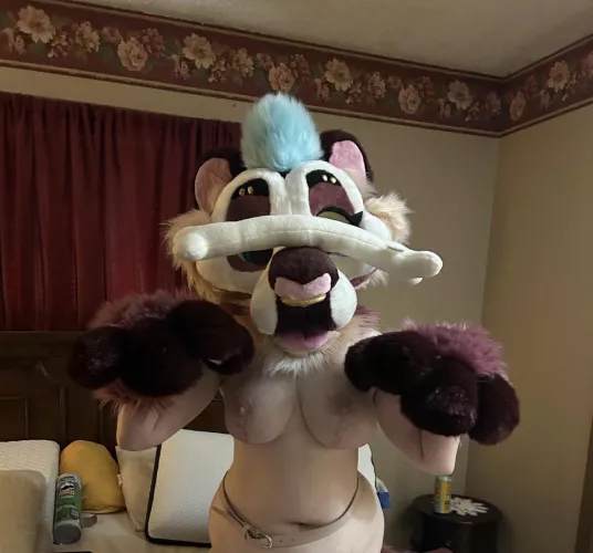 I may be a puma, but I’ve got tricks too!~