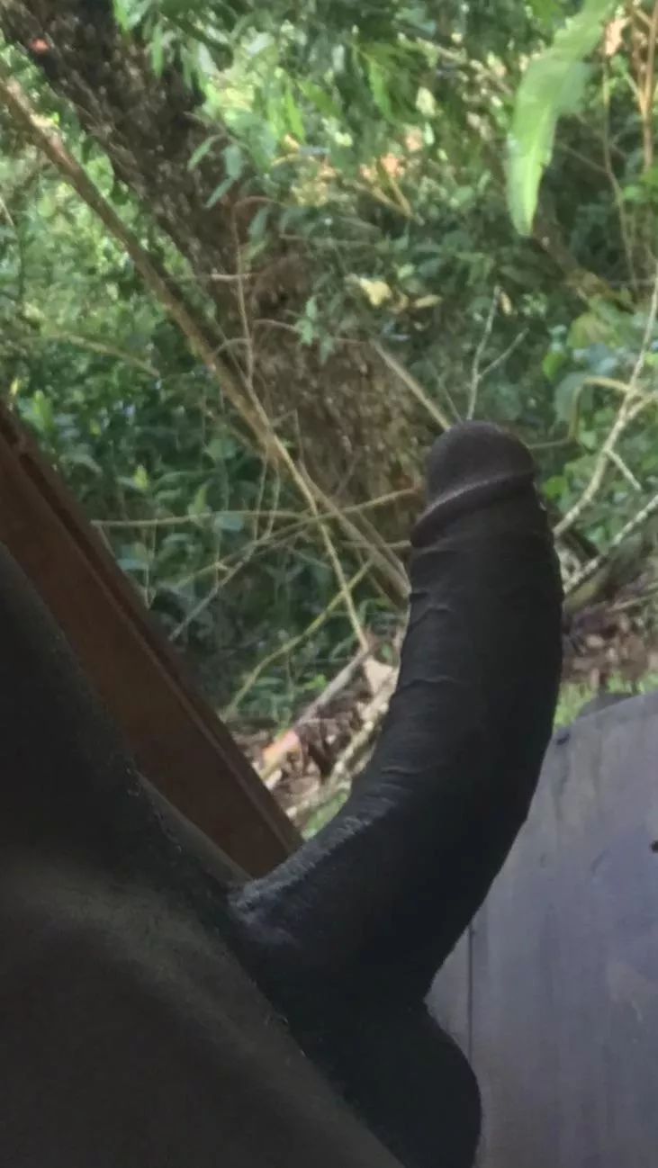 Do you think you can climb this tree?