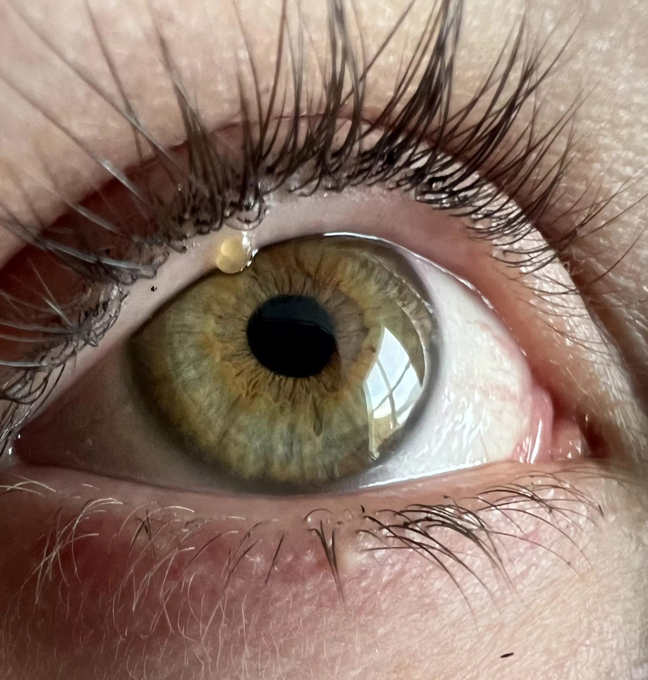 Forbidden pop on water line. 