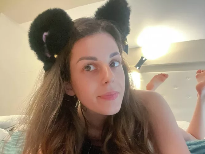 Imagine how a cat like me can keep you warm on a cold night