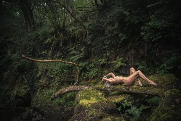 Making the most of deadfall in the Brecon Beacons 