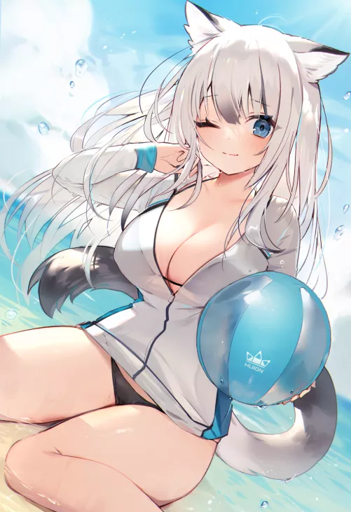 Neko on a beach