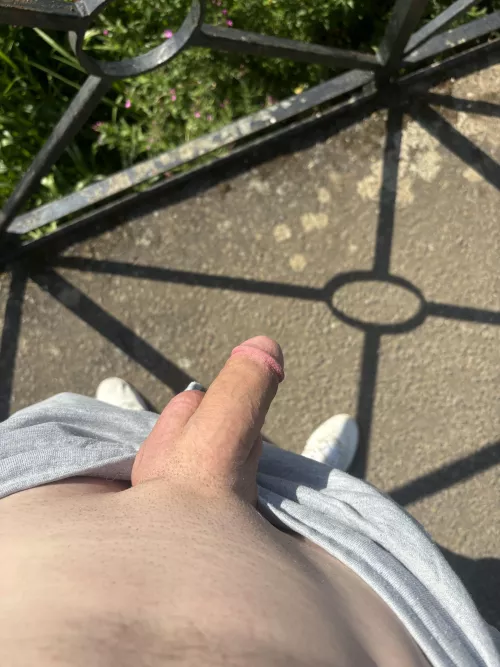 Suck me on the bridge