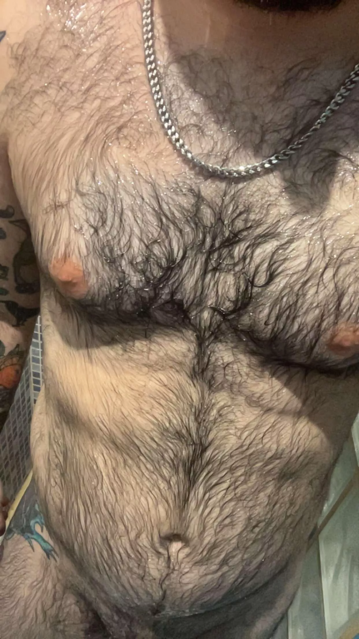 33 bear dad bod from spain looking for jerk buddies. Face++++ Hairy+ thicc+ uncut++ sc xorxingus