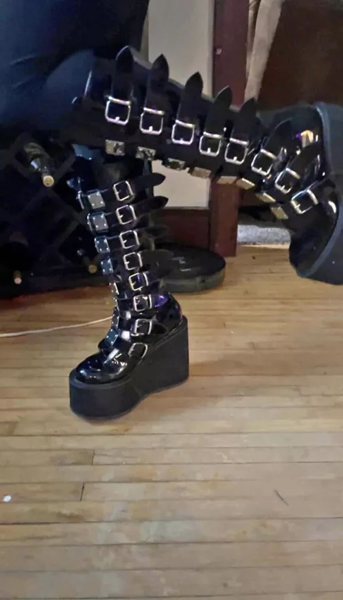 Absolutely love these stompers