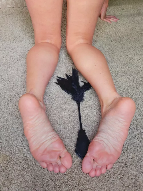 Come with me. Je t'adore, mon cheri. I'm tickled pink and I like what you're thinking. - Corinne