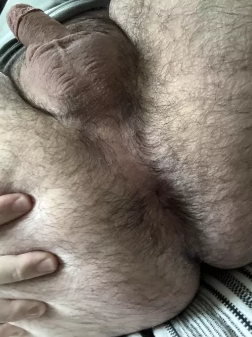 Does it look breedable?