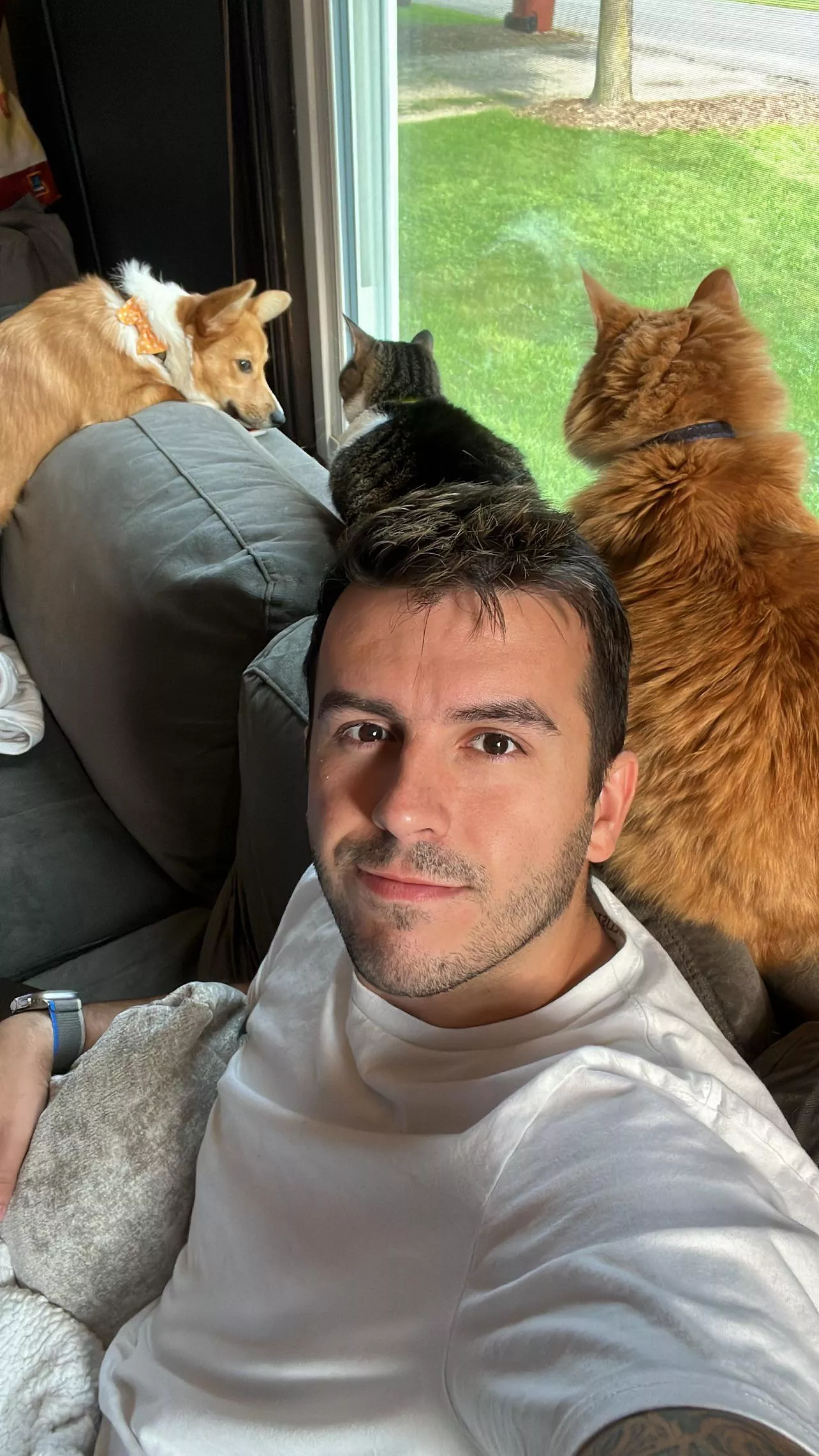 Everyone wants the window seat