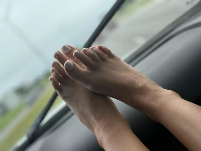If these are on your dash I hope your hand is on my pussy while driving