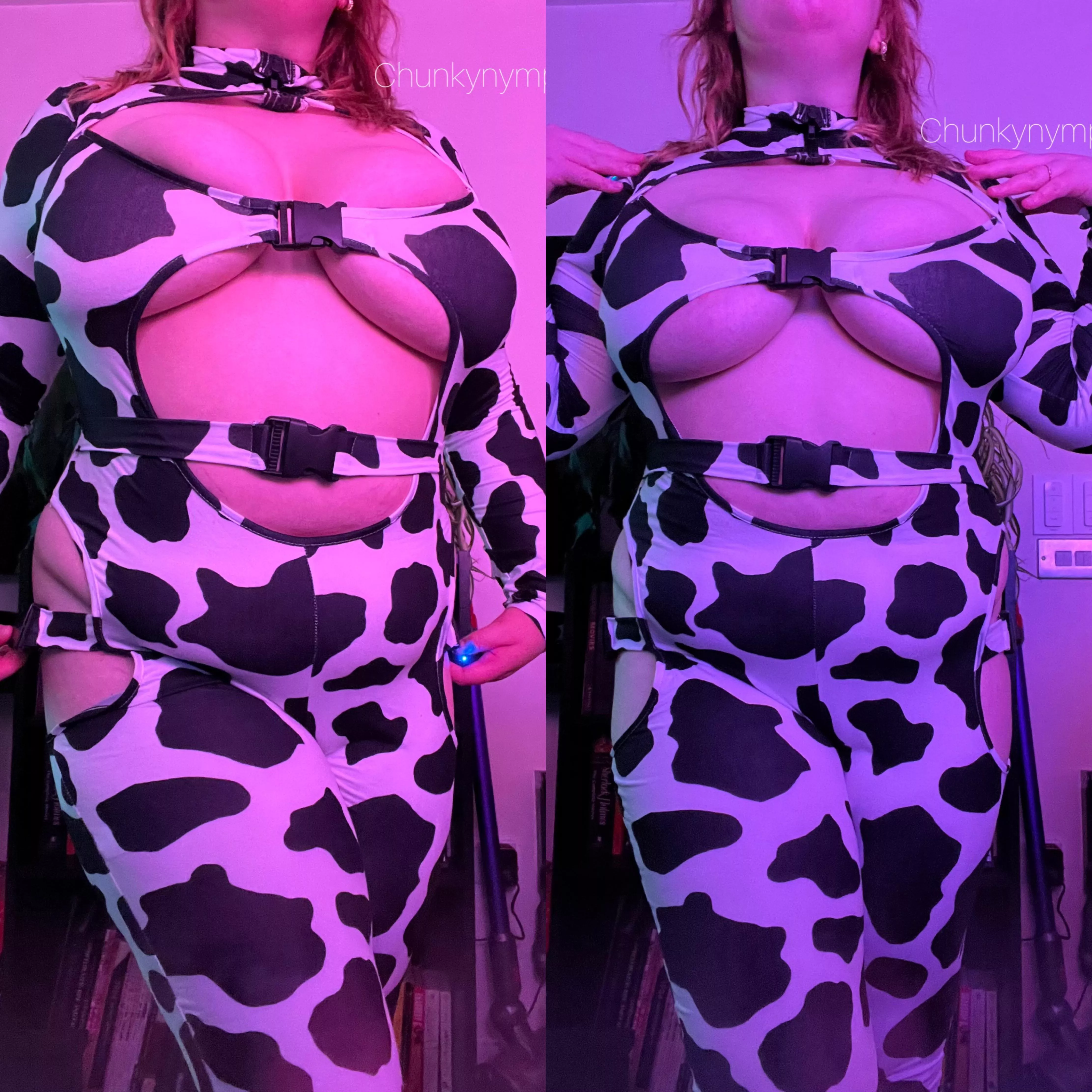 I’ll be your dairy cow 