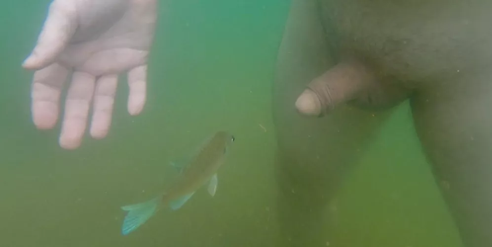 Something fishy here