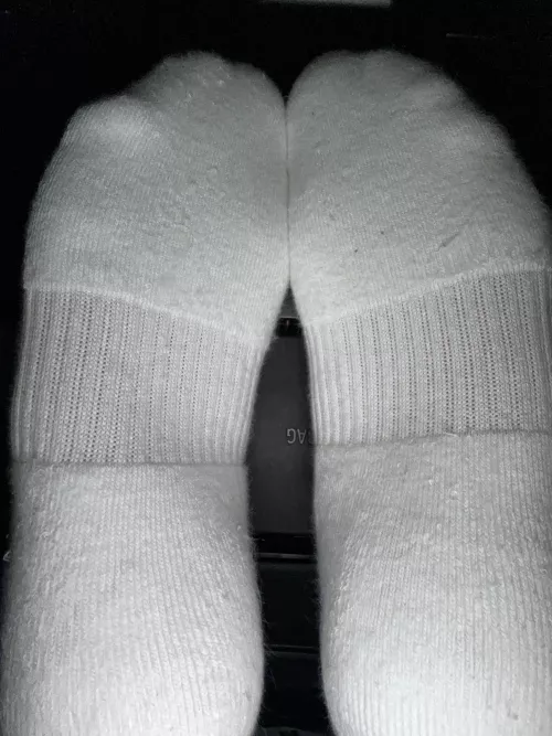 Wake up to these being pressed against your face